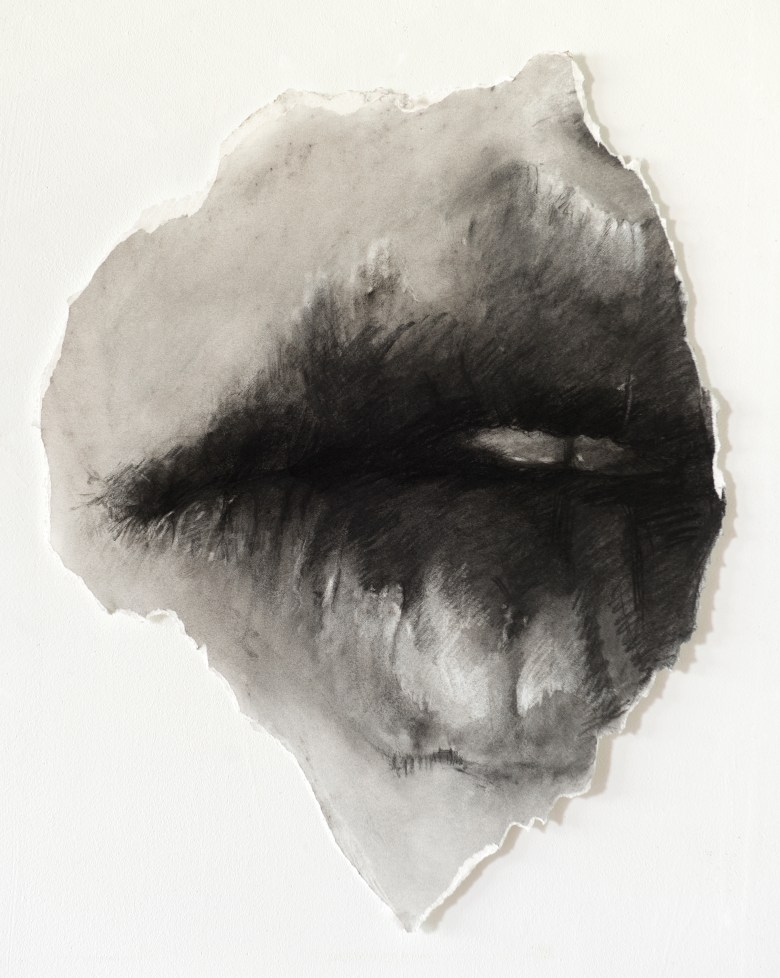 Ariel_freiberg_female_deliquency